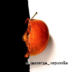 Pochette Чернозем - Над заборами