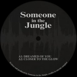 Pochette Someone in the Jungle - Gunshot