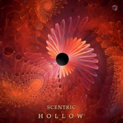 Pochette Scentric - Hollow