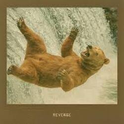 Pochette Agency - REVERSE