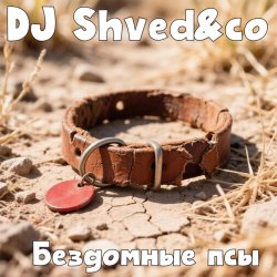 Pochette DJ Shved&co - Бездомные псы