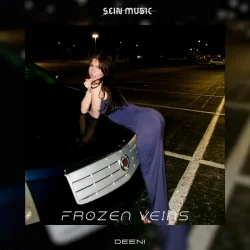 Pochette DEENI - Frozen Nights