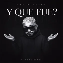 Pochette Don Miguelo - Y Que Fue? (Dj Dark Remix)