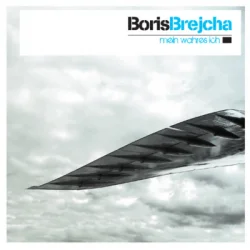 Pochette Boris Brejcha - Flying Bird