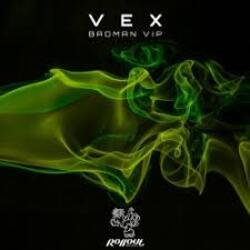 Pochette VEX - Northern Funk (Leks Remix)