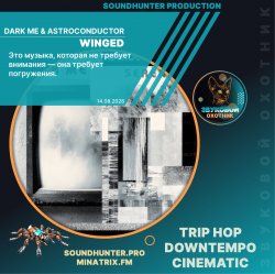 Dark Me & Astroconductor - Winged