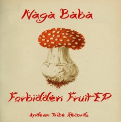 Pochette Naga Baba - The Prophet