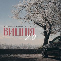 Pochette Вишня (2.0 TUSOVKA & Nazz Muzik Remix)