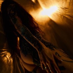 Pochette Timagor - The twilight