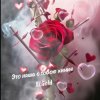 Pochette El.Gold - Это наша с тобою химия El.Gold - Это наша с тобою химия