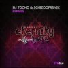 DJ TOCHO﻿ & Schizoofr3nik - Express