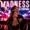 Pochette DJ FORTUNA - MADNESS DJ FORTUNA - MADNESS