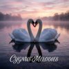 Pochette Vasilii CECEGOV & Atom - Cygnus Melodies Vasilii CECEGOV & Atom - Cygnus Melodies