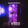 Pochette Agunda, DJ M.E.G. - I Wanna Agunda, DJ M.E.G. - I Wanna