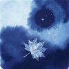 Pochette Федяков Валерий - Князь любви Федяков Валерий - Князь любви