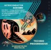 Pochette Astroconductor - Acid Bird Astroconductor - Acid Bird