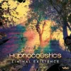 Pochette Hypnocoustics & Spun Out - Foxy (Original Mix) Hypnocoustics & Spun Out - Foxy (Original Mix)