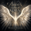 Pochette Тетяна Ільєнко - Ангел ламає крила Тетяна Ільєнко - Ангел ламає крила
