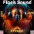Pochette SVnagel ( LV ) - Flash Sound #629