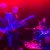 Pochette Joseph Studio Friends Jam Session - Improvisation of Rock'n'roll  1993