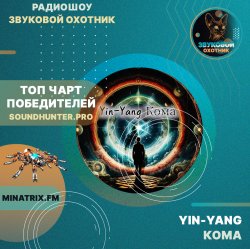 Yin-Yang - Кома