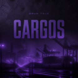 Pochette DRoN TRuE - CARGOS