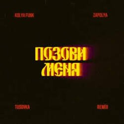 Pochette Kolya Funk, ZAPOLYA, TUSOVKA - Позови меня (Remix)