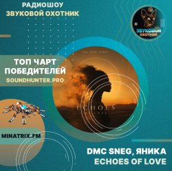 Pochette DMC Sneg, ЯнИка - Echoes of love