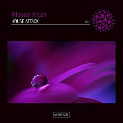 Pochette Michael Kruzh - House Attack