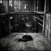 Pochette SerDi - Concrete Lungs SerDi - Concrete Lungs