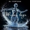Pochette DJ FORTUNA - Живая вода (Russian Edition) DJ FORTUNA - Живая вода (Russian Edition)