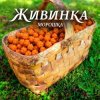 Pochette Живинка - Морошка Живинка - Морошка