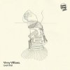 Pochette Vinny Villbass - Brücke Vinny Villbass - Brücke