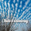 Яна RU - Небо в клеточку