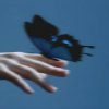 Pochette Lxst Wxrld, Mxnsxt - Butterflies in the Stomach Lxst Wxrld, Mxnsxt - Butterflies in the Stomach