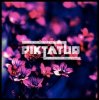 Pochette Diktatur - Еhe Harm Diktatur - Еhe Harm