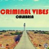 Pochette Criminal Vibes vs. DJ DNK - Calabria (DJ KIRILLICH Mashup) Criminal Vibes vs. DJ DNK - Calabria (DJ KIRILLICH Mashup)