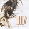 BLOW - Postman
