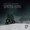 Eric C. Powell & Andrea Powell - Winter Song