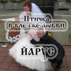 Pochette ЙАРУС - Птичка в клетке любви ЙАРУС - Птичка в клетке любви
