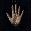 Pochette PINEA - Суперпозиция PINEA - Суперпозиция