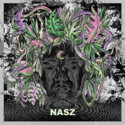 Pochette Nasz - Believe