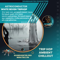 Pochette Astroconductor - White Reven Triphop