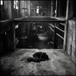 Pochette SerDi - Concrete Lungs