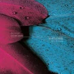 Pochette DJ Swip - Feel