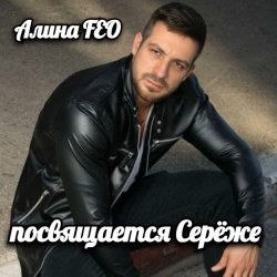 Pochette Алина Даниленко - для Серёжи Кинофарша