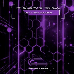 Pochette Can't Say Goodbye (Radio Mix)