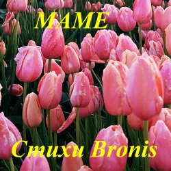 Pochette BRONIS AI - С ДНЁМ РОЖДЕНИЯ МАМА