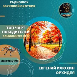 Pochette Евгений Илюхин - Орхидея