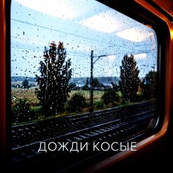 Pochette Vasilii CECEGOV & Atom - Дожди косые